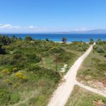 the road to the beach